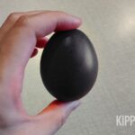 Een fake afbeelding van een zwart kippenei