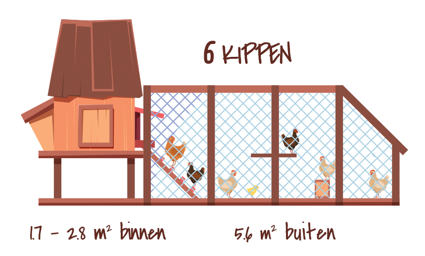 Visualisatie van de ruimte nodig voor 6 kippen: 1,7-2.8 vierkante meter in het kippenhok en 5.6 vierkante meter buiten in de ren
