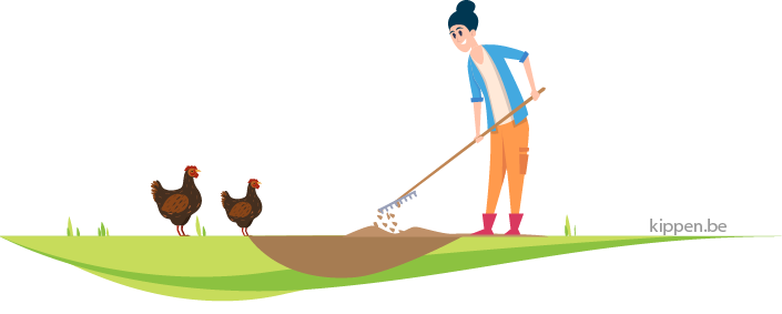 Illustratie van een vrouw die een stofbad maakt voor twee kippen met een riek in de grond