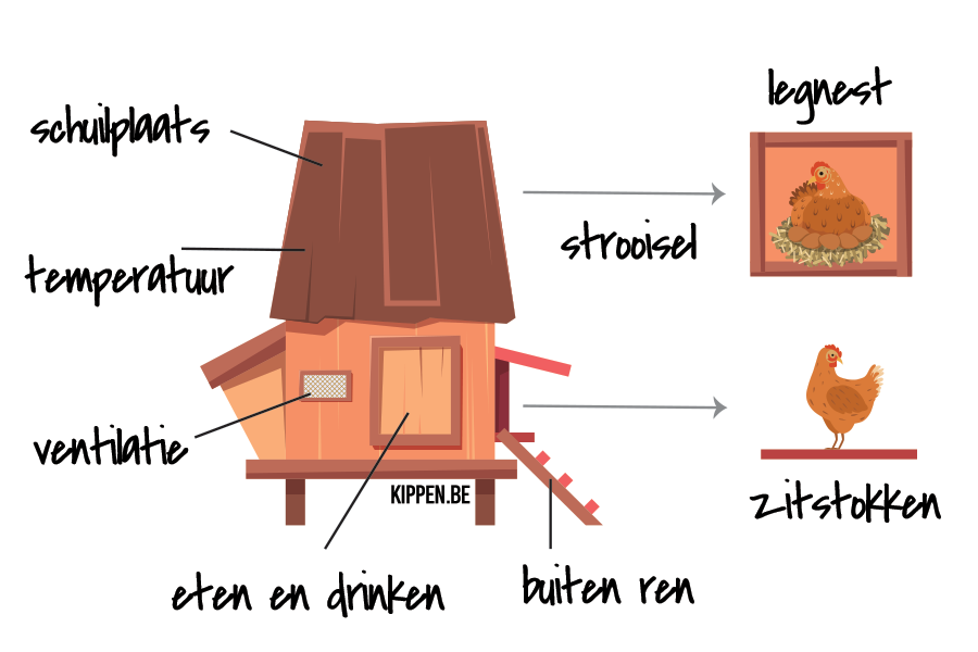 De onderdelen van het kippenhok: dak om onder te schuilen, temperatuurregeling, ventilatie, eten en drinken, een ren voor buiten, zitstokken, strooisel en legnesten