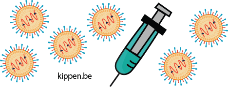 Illustratie van een vaccin met meerdere Newcastle disease virus partikels