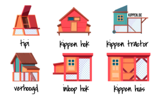 Kippenhokken: De Complete Gids (2026) - Kippen.be