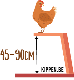 Minimum hoogte nodig voor de zitstok van een kip