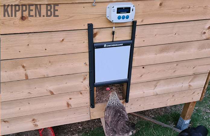 chickenguard kippenhokdeur