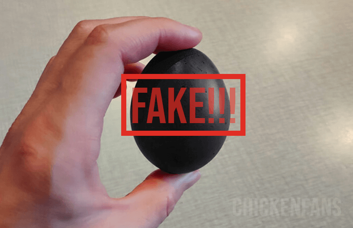 een zwart kippenei met de teks fake erover. Er bestaan geen kippen die zwarte eieren leggen
