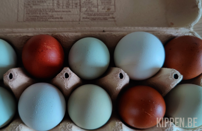 gekleurde eieren