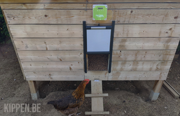 een kip bij de kerbl automatische kippenhokdeur