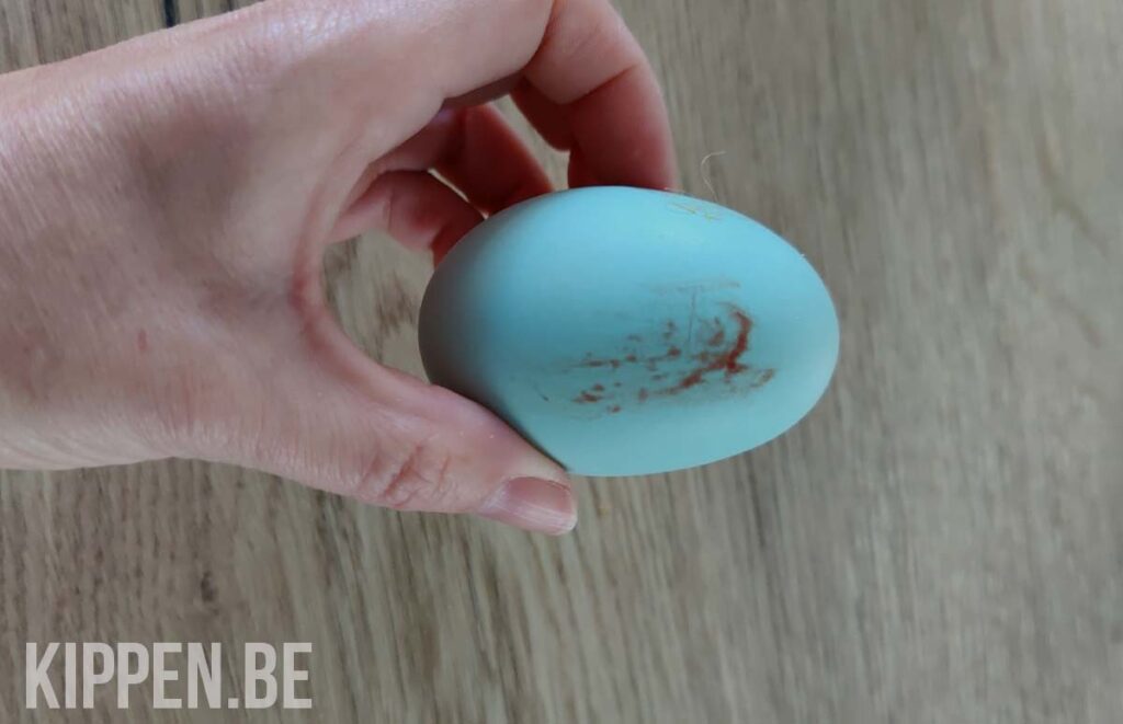 een ei met een bebloede eierschaal