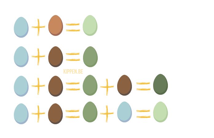 de verschillende tinten van de eieren van een groenlegger 