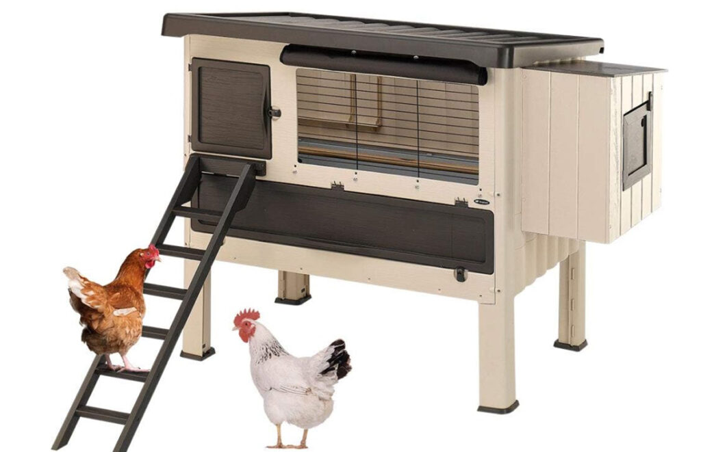 ferplast plastic kippenhok