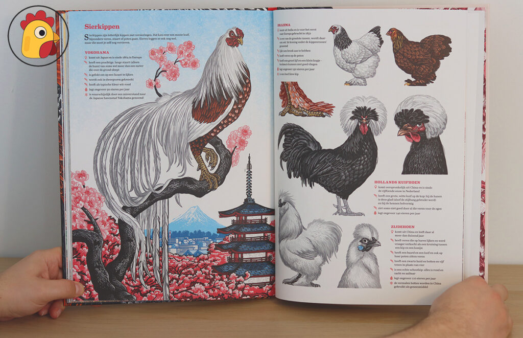 illustratie uit het grote kippenboek