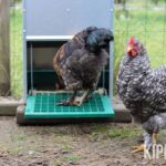 FEEDOMATIC trapvoederbak